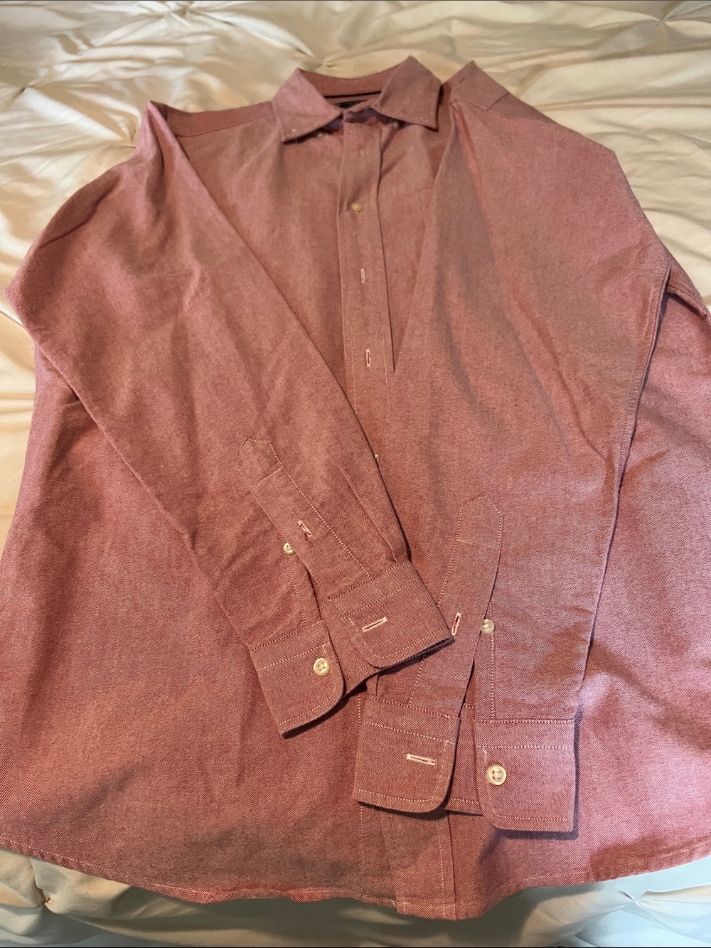 Daniel Cremieux Button-Down Shirt in Light Pink